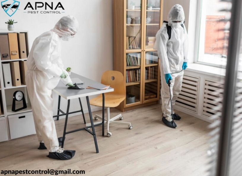 Useful Tips to Make Your Living Place Pest-Free