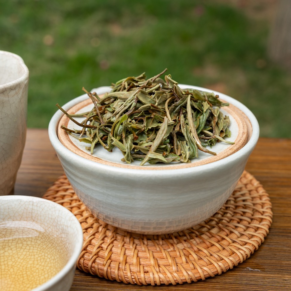 A Guide to Choosing the Best Loose Leaf Tea