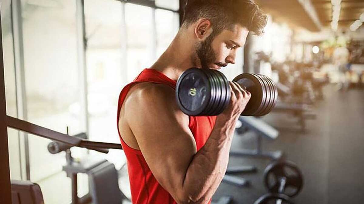 Discovering the Best SARMS: A Beginner’s Guide