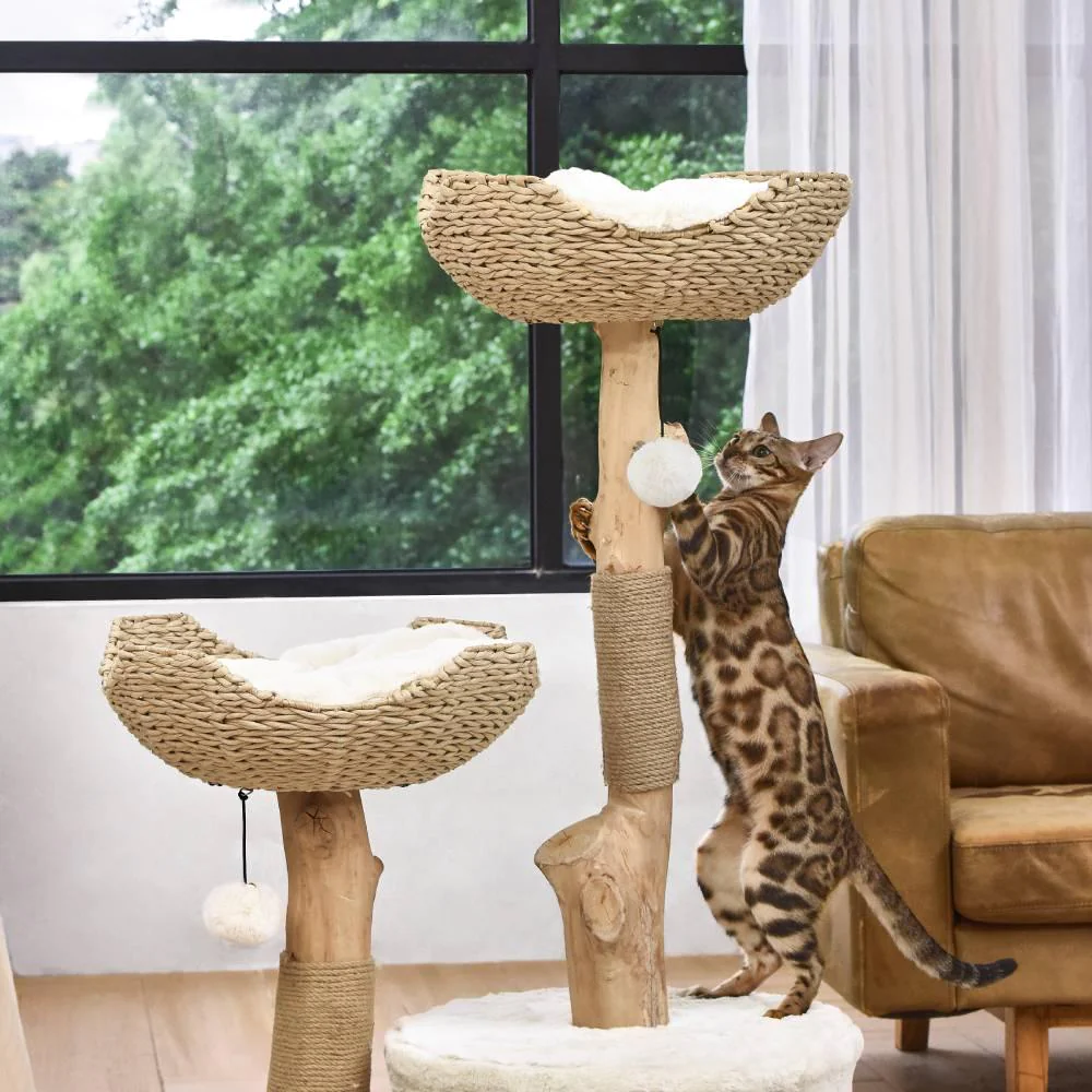 Best Cat Tree in Australia