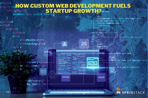 How Custom Web Development Fuels Startup Growth?