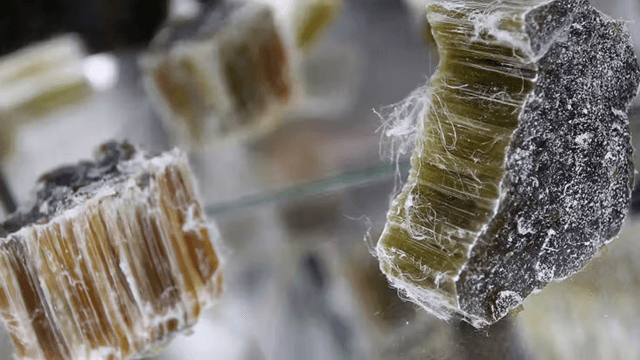 5 Steps to Take After Being Exposed to Asbestos Living in West Virginia