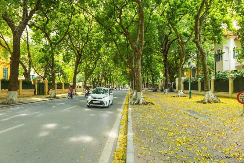 Phan Dinh Phung Street, Hanoi in autumn