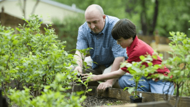 Gardening for All