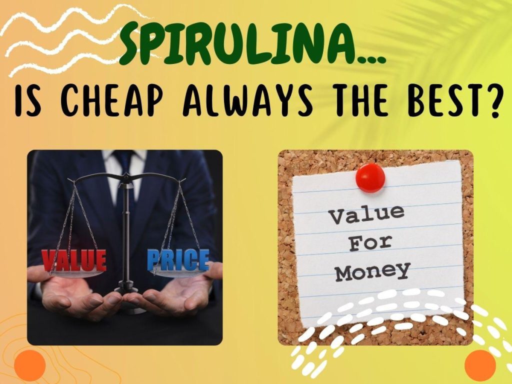 The Journey of Kabir: Discovering the Power of Organic Spirulina Tablets 2 Organic Spirulina Tablets