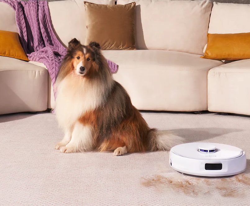 How to Purchase Robot Mops