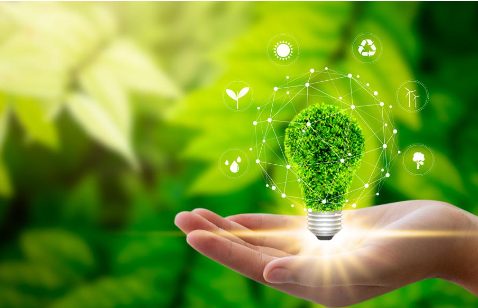 The Sustainable Edge: How Embracing Sustainability Benefits Your Business