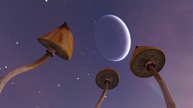 How Long Does It Take for Shrooms to Kick In?