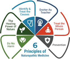The Transformative Power of Naturopathic Medicine: A Whole-Person Approach to Healing 1 The Transformative Power of Naturopathic Medicine: A Whole-Person Approach to Healing